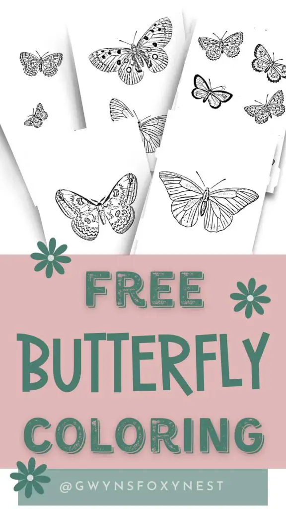 Butterfly coloring pages free