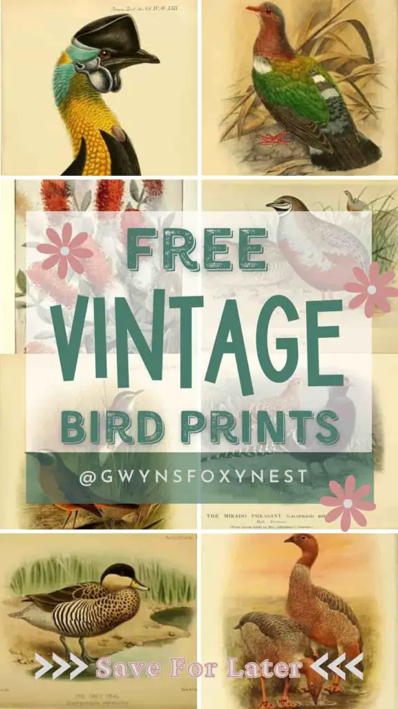 Fall vintage bird prints free printable