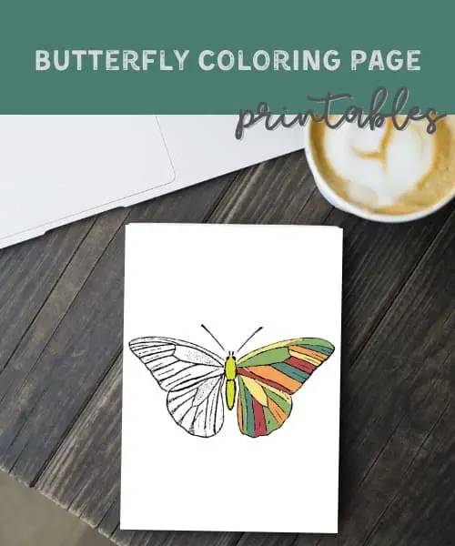 free printable coloring pages for adults butterflies