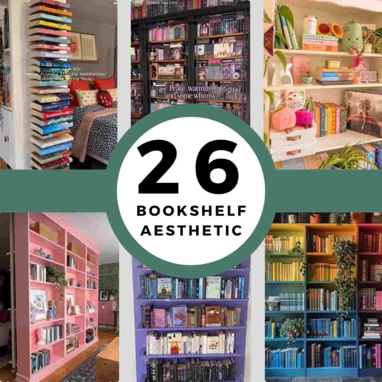 Aesthetic Bookshelf Ideas